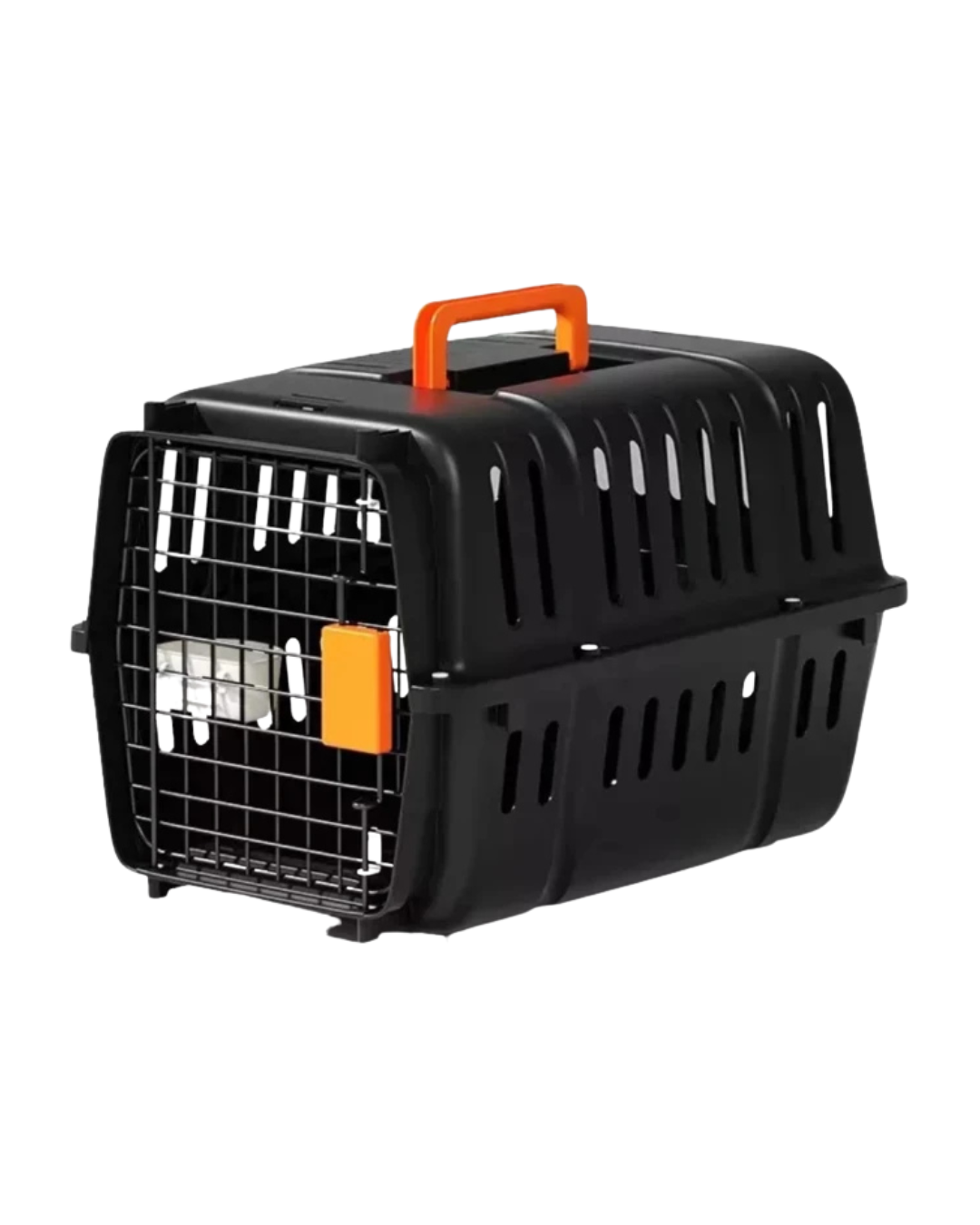 Transportadora